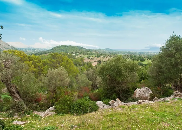 Guillo Vila Pollença